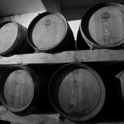 __Vinski podrum_bw __Vinski podrum_bw